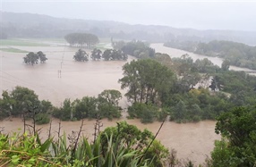 Initial recovery mobilisation fund to help farmers and growers hit by Cyclone Gabrielle