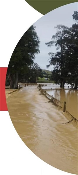 Flood Recovery Support and Information - Coromandel