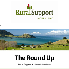 The Round Up Vol.2