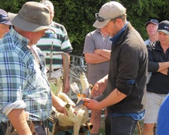 Tailing without pain at workshop for farmers - Story by Joanna Grigg, Farmers Weekly