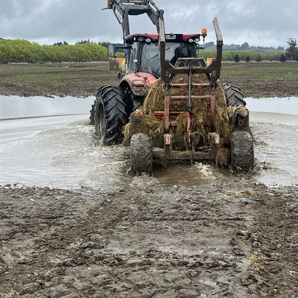 The Big Wet - Dealing with the endless Southland Wet!