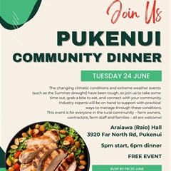 Community Dinner, Pukenui