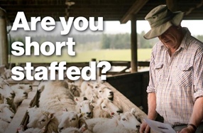 Are you short staffed?
