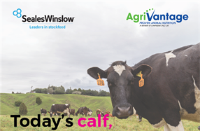 Dairy Women's Network - Today's Calf, Tomorrow's Cow - Southland
