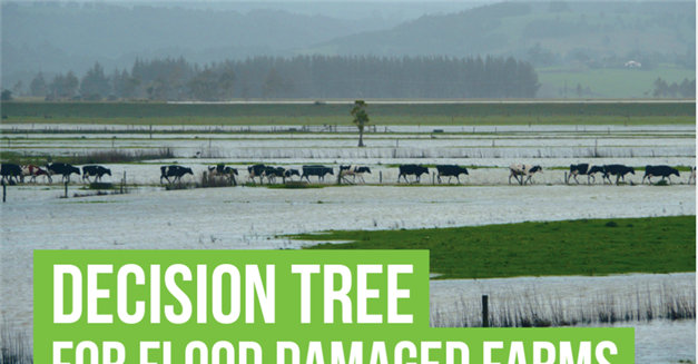 Decision Tree for Flood Damaged Farms