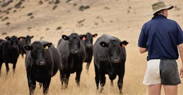 What you need to know about Foot and Mouth Disease.