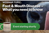 Federated Farmers Webinar - Foot & Mouth Disease - What you need to know