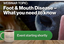 Federated Farmers Webinar - Foot & Mouth Disease - What you need to know