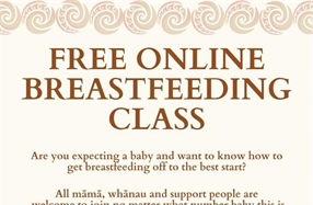 Breastfeeding Support - In Person & Online, Otago, Central Lakes & Southland