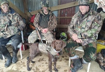 Transporting farm & hunting dogs across Cook Strait