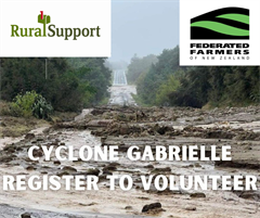 Cyclone Gabrielle - Volunteer Registration