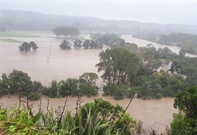 Initial recovery mobilisation fund to help farmers and growers hit by Cyclone Gabrielle