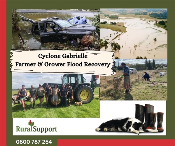 Rural Support Trust National Office - Givealittle Page is open for donations