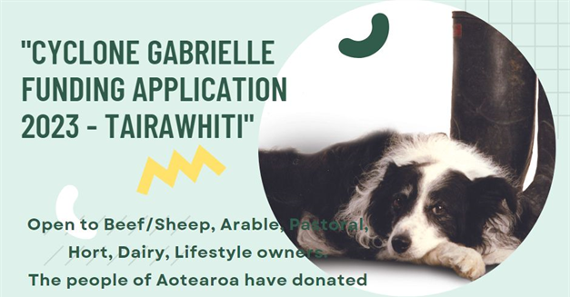 Funding Application for Cyclone Gabrielle - Recovery in the Tairawhiti area