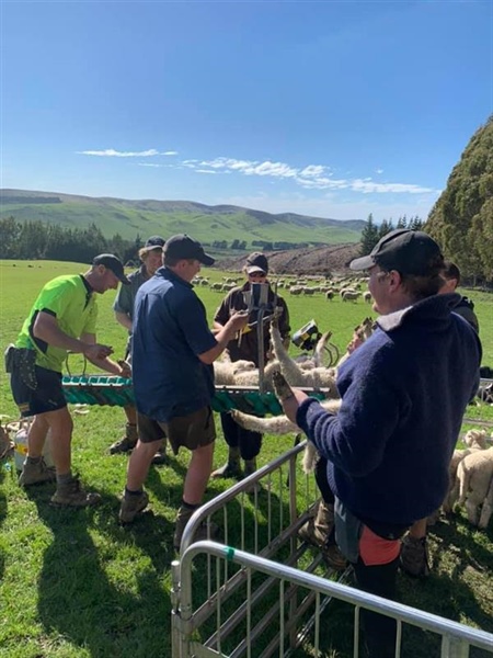 NZ Young Farmers and Rural Support Trust join forces to enhance wellbeing