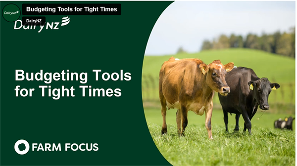 DairyNZ and Farm Focus's Budgeting tools for tight times