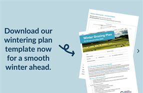 Winter Grazing Plan for Southland