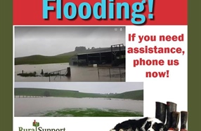 During and after a flood