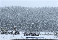 Heavy Snow - advice from DairyNZ and B+LNZ