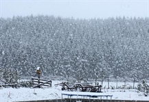 Heavy Snow - advice from DairyNZ and B+LNZ