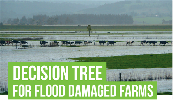 Decision Tree for Flood Damaged Farms