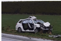 Wandering stock on roads and highways can have a devastating impact.