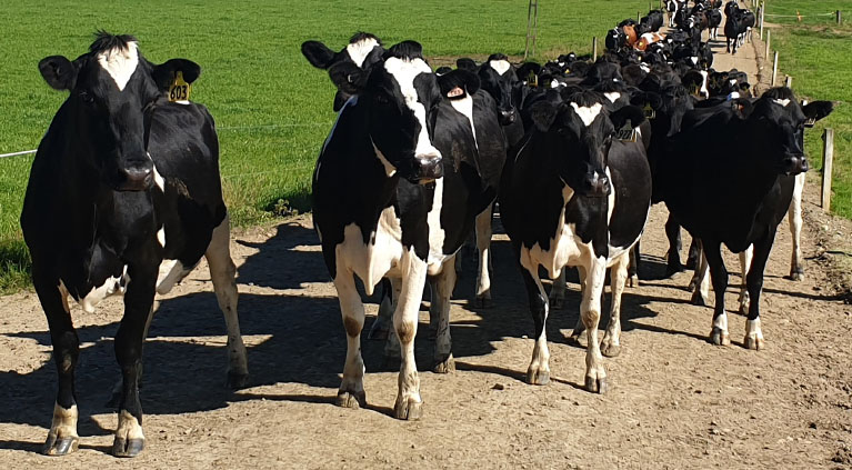 Biosecurity