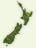 Bay of Plenty Rural Support Trust