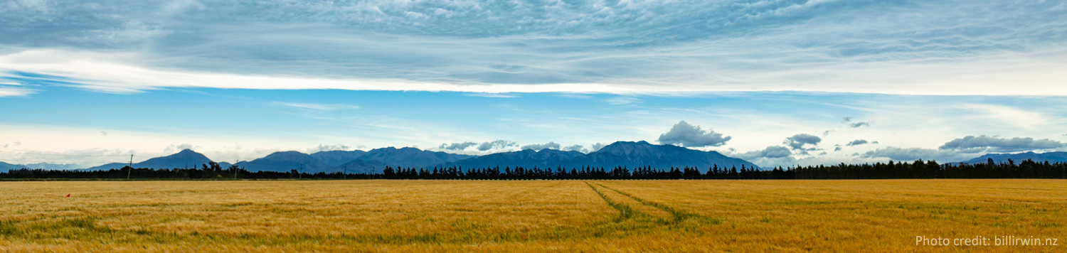 Mid Canterbury Rural Support Trust